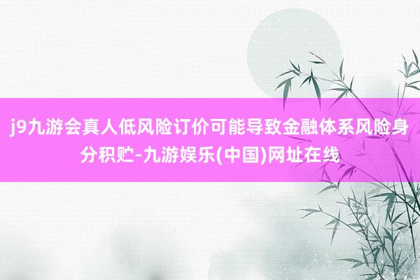 j9九游會(huì)真人低風(fēng)險(xiǎn)訂價(jià)可能導(dǎo)致金融體系風(fēng)險(xiǎn)身分積貯-九游娛樂(lè)(中國(guó))網(wǎng)址在線
