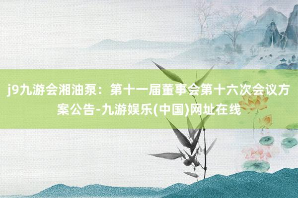 j9九游會湘油泵：第十一屆董事會第十六次會議方案公告-九游娛樂(中國)網址在線